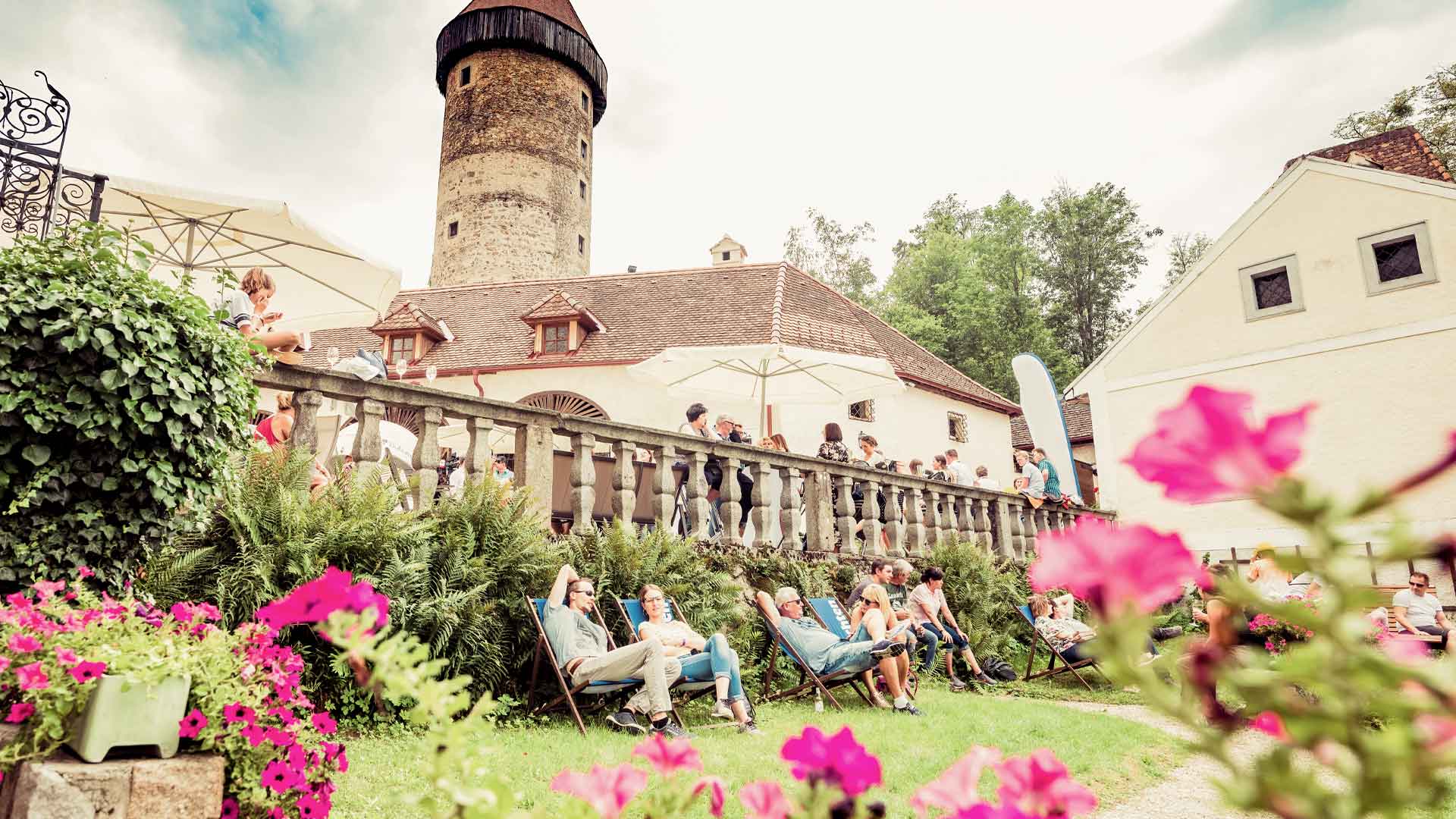 clamlive-vip-slider-4